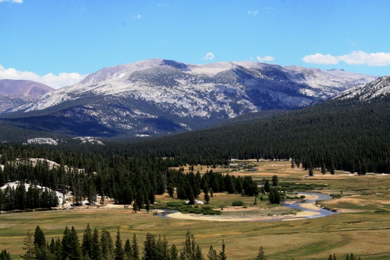 Yosemite National Park