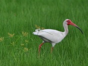 Everglades National Park
