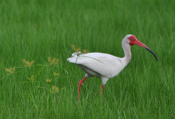 Everglades National Park