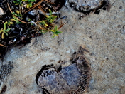 Grand Canyon National Park