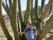 Organ Pipe Cactus National Monument