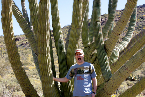Organ Pipe Cactus National Monument
