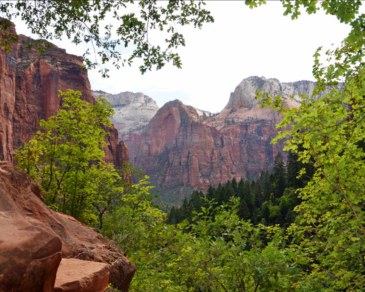 Zion National Park