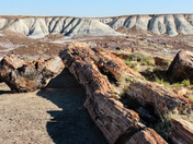 Petrified Forest National Park