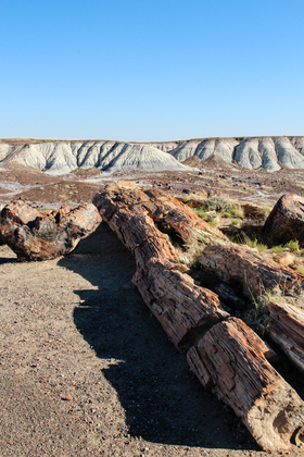 Petrified Forest National Park
