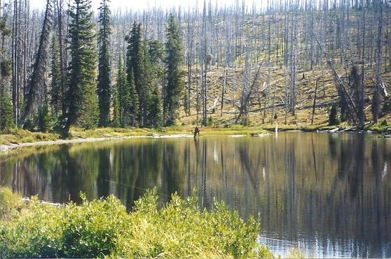 Yellowstone National Park