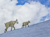 Olympic National Park