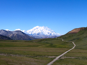 Denali National Park