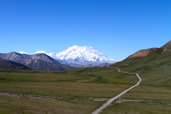 Denali National Park