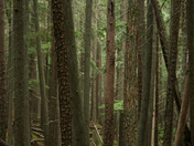 Glacier National Park