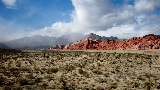 Red Rock Canyon National Conservation Area