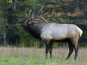 Great Smoky Mountains National Park