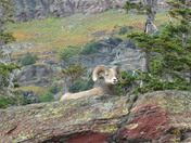 Glacier National PArk