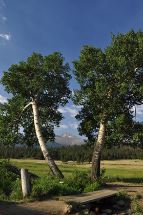 Rockty Mountain National Park