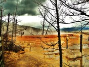 Yellowstone National Park