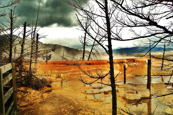 Yellowstone National Park