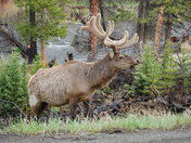 Yellowstone National Park