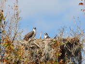 Everglades National Park