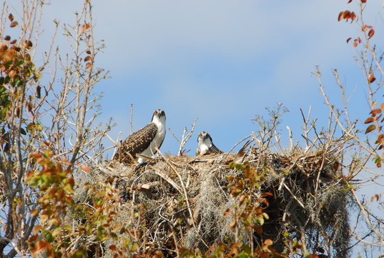 Everglades National Park