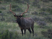 Rocky Mt National Park