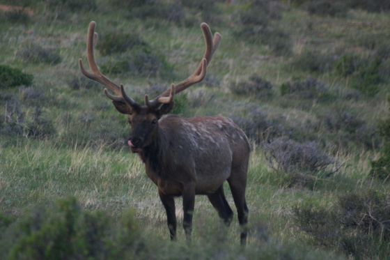 Rocky Mt National Park