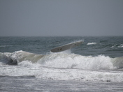 Where's my Surfer???