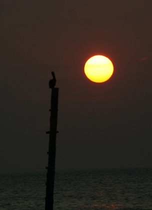 Cape Hatteras National Seashore