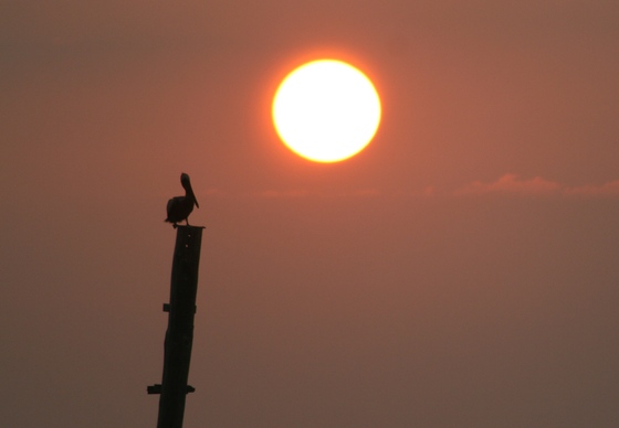 Cape Hatteras National Seashore