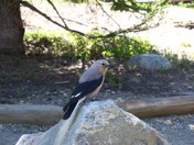 Rocky Mountain National Park