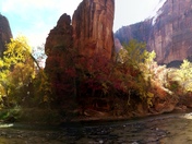 Zion National Park