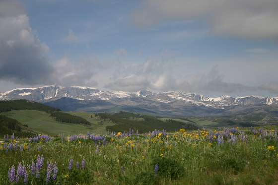 Bighorn National Forest