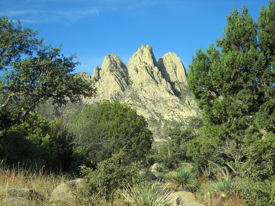 Aguirre Spring Campground