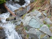 Mt Rainer National Park