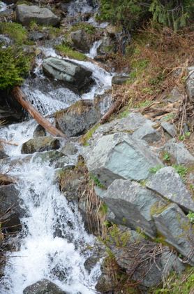 Mt Rainer National Park