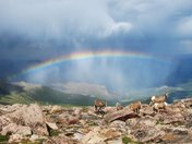 Mt. Evans Wilderness, Colorado