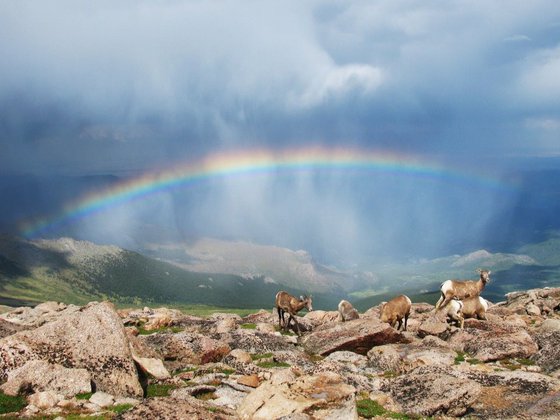 Mt. Evans Wilderness, Colorado
