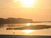 Assateague Wildlife Refuge