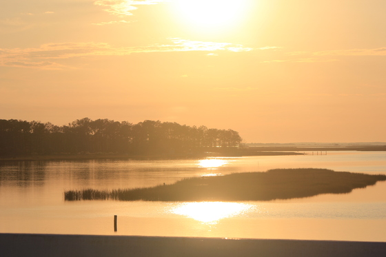 Assateague Wildlife Refuge