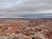 Petrified Forest National Park