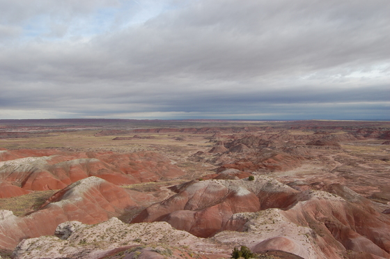 Petrified Forest National Park