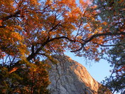 San Bernardino National Forest