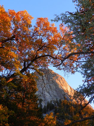 San Bernardino National Forest