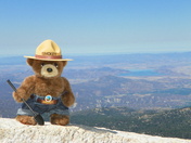 San Bernardino National Forest