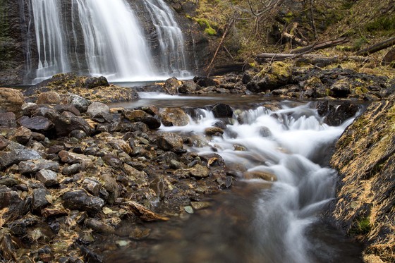 Wallowa Whitman National Forest