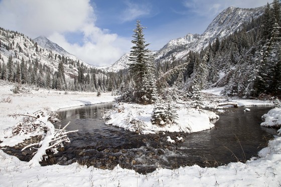 Wallowa Whitman National Forest
