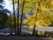 Yosemite National Park