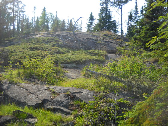 Isle Royale National Park