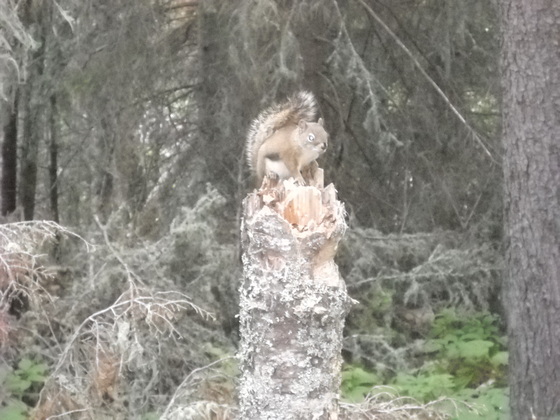 Isle Royale National Park