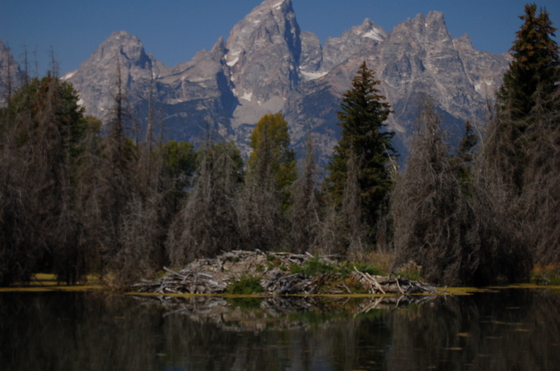 Gran Teton National Park