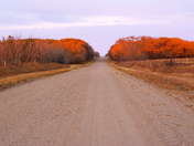 Fall Country Road